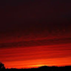 Meet your Posher, Jasie